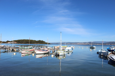 sortie bateau le brusc